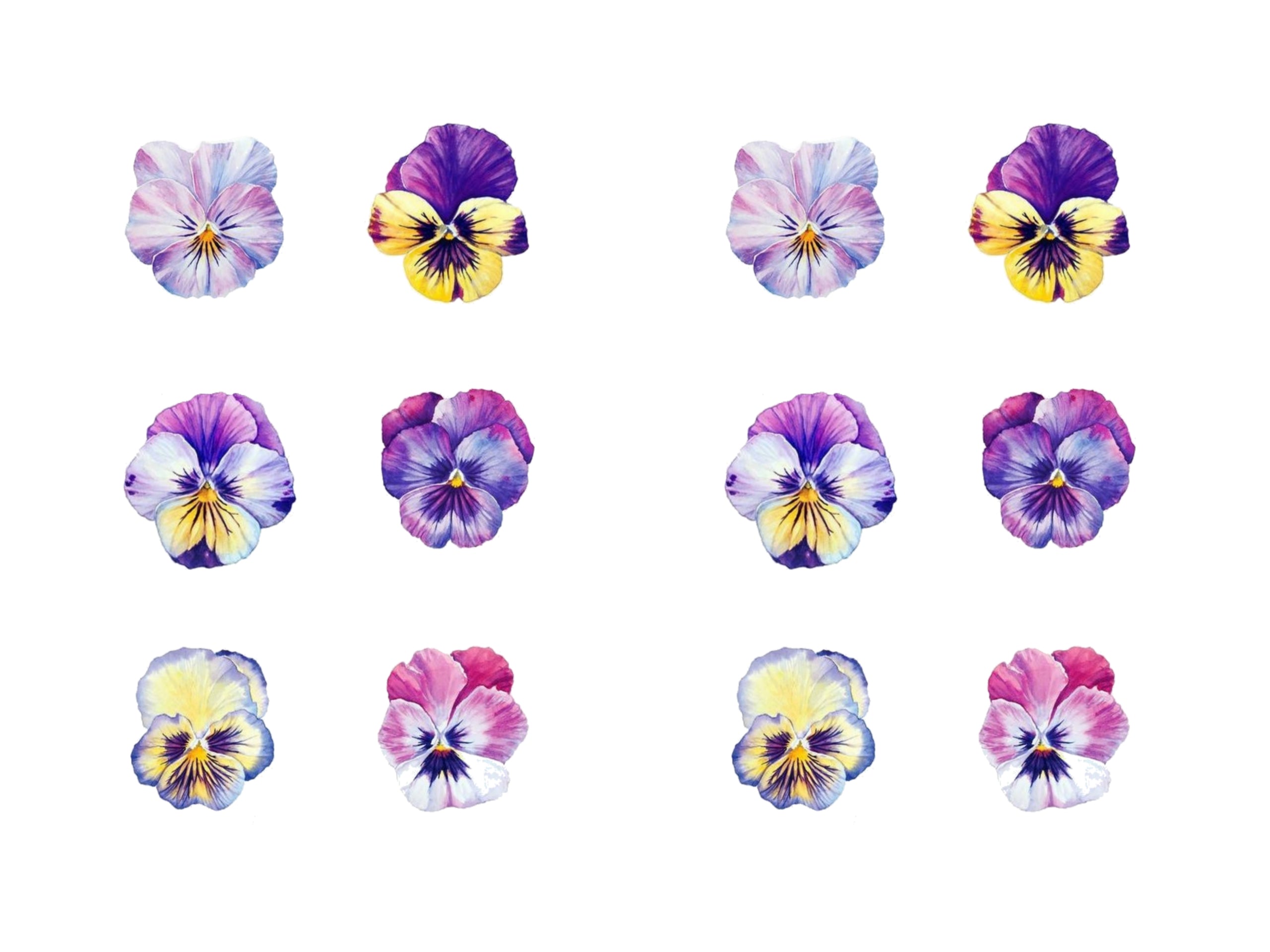 Baby Violas Cookie/Cupcake Toppers - Emma Dodi Cakes