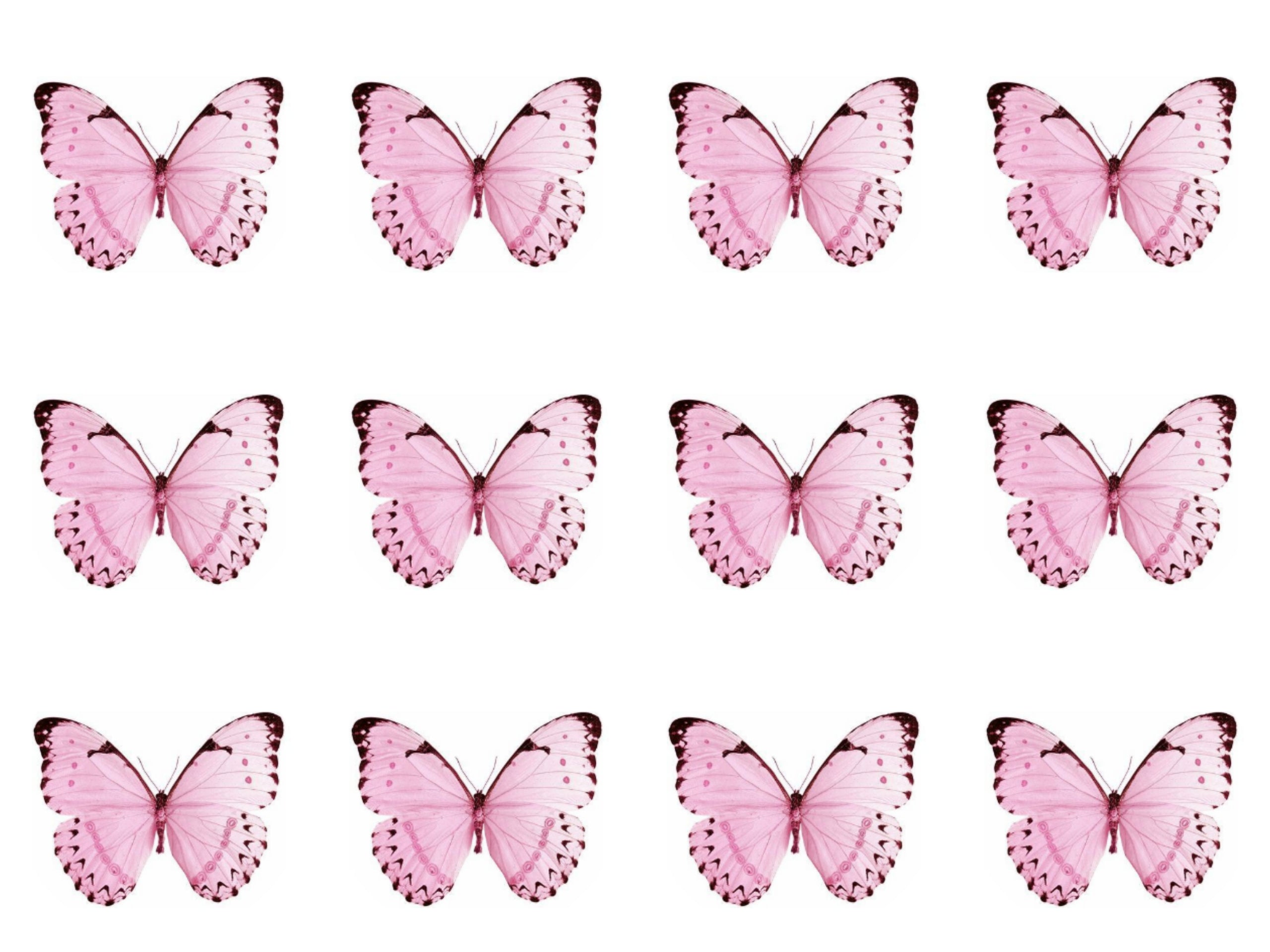 Pink Butterflies Cookie/Cupcake Toppers - Emma Dodi Cakes