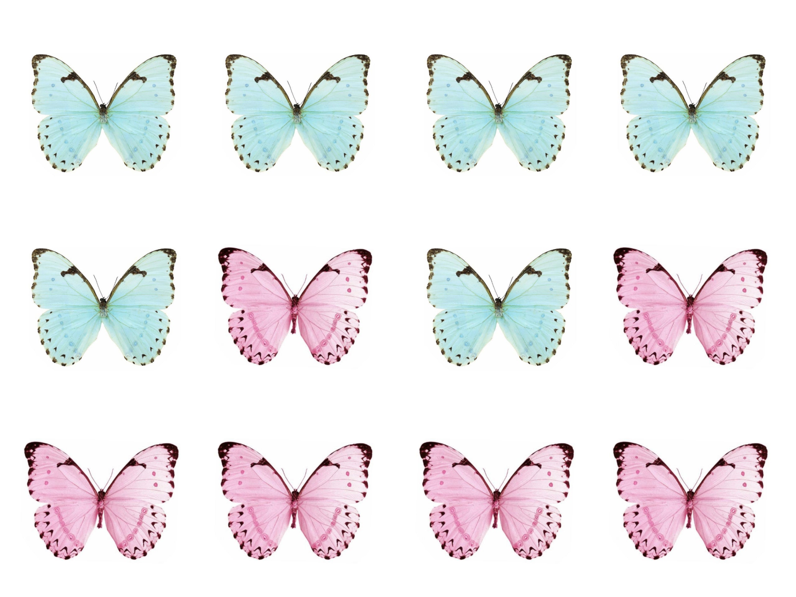 Pink & Blue Butterflies Cookie/Cupcake Toppers - Emma Dodi Cakes