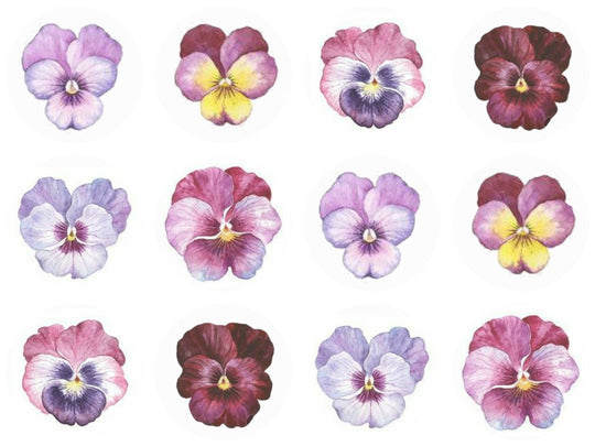 Violas Cookie/Cupcake Toppers - Emma Dodi Cakes